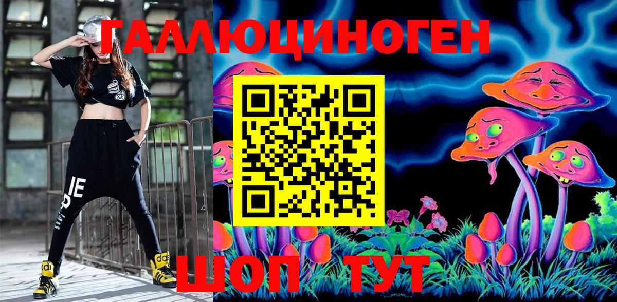 Галлюциногенные грибы Psilocybe  Псилоцибиновые грибы прущие грибы  Тосно  Вход с VPN 